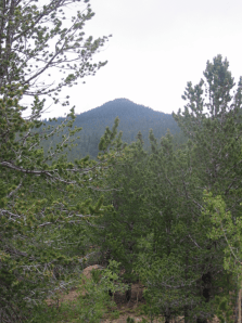 Mt. Rosa as  seen from Pike's likely approac